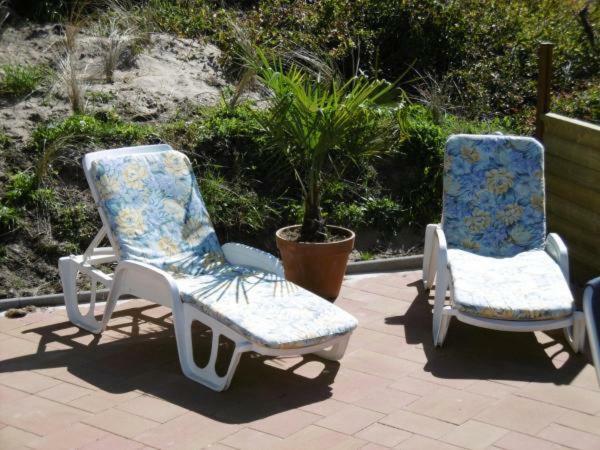 Chalet Joleen Ijmuiden Aan Zee, Vlakbij Het Strand Eksteriør bilde